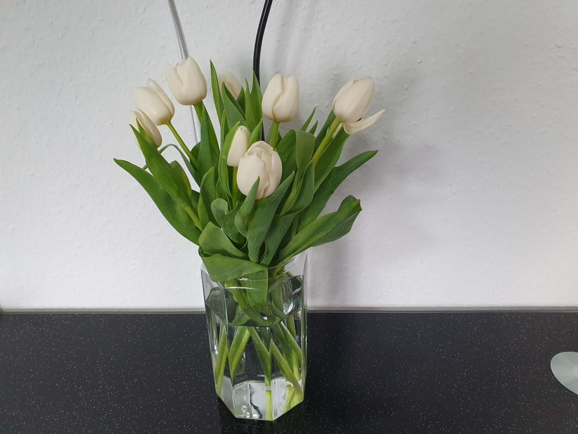 Apartement Weingarten Weingarten  Eksteriør bilde
